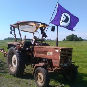 Trekker met Piratenvlag
